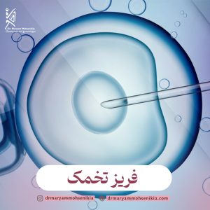 مراحل اجرایی برای فریز کردن تخمک